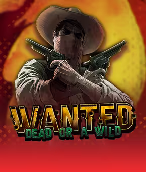 Wanted slot cover